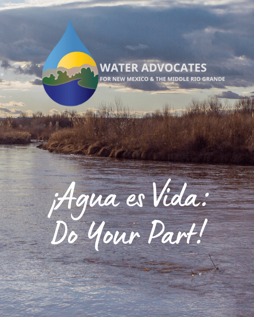 river in winter with the words agua es vida: do your part